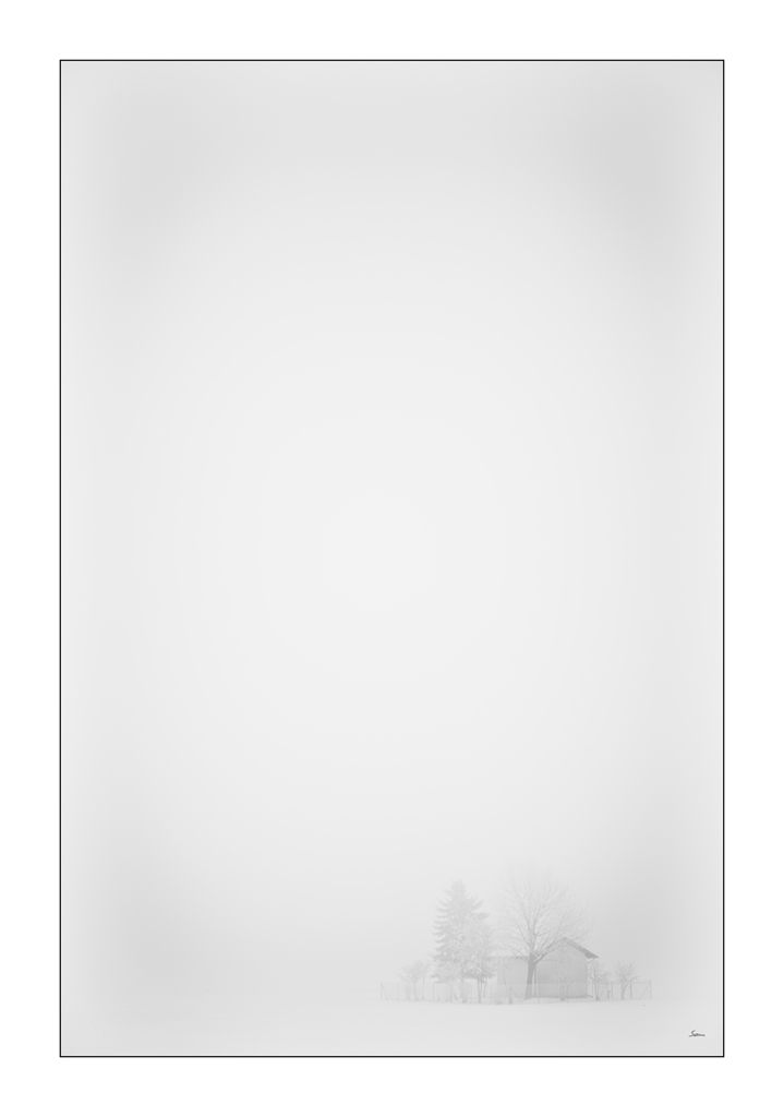 SilvPZ1 4376