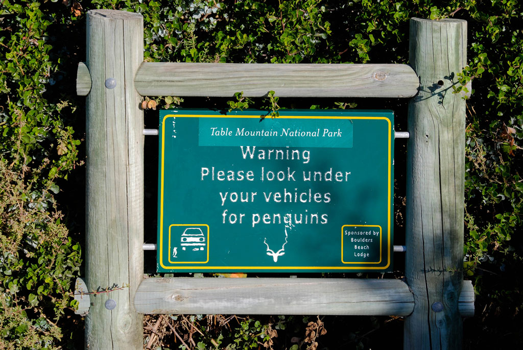 simonstown pinguin schild