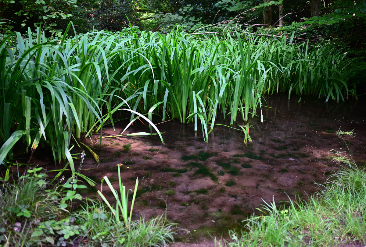 SKE_0502.JPG