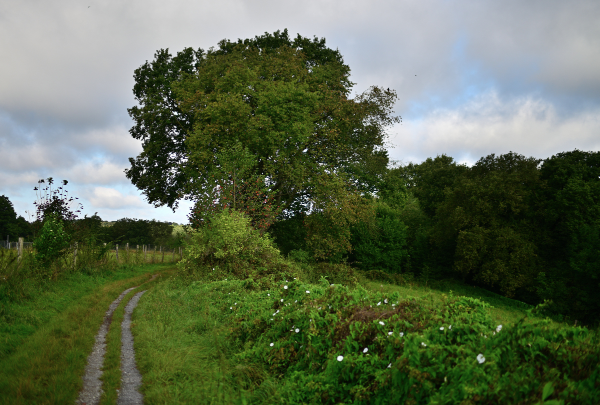 SKE_0560.JPG