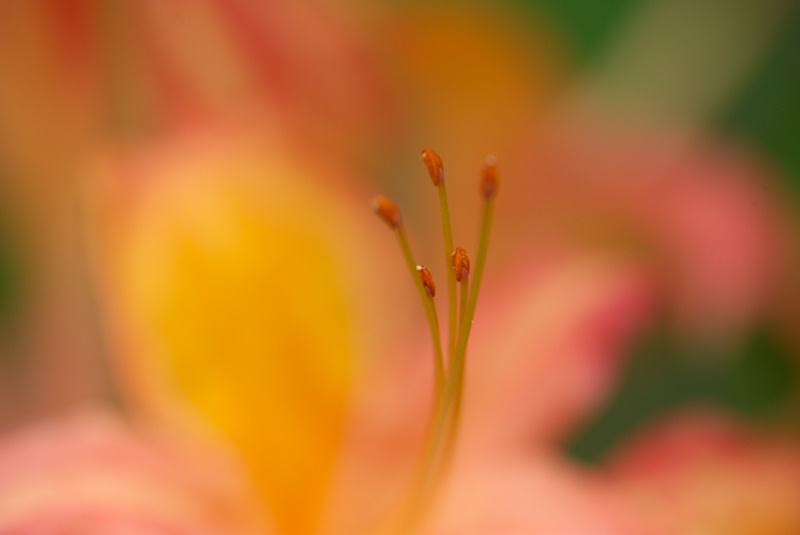 small0232