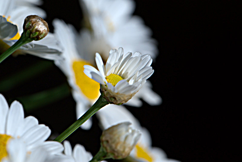 small0235