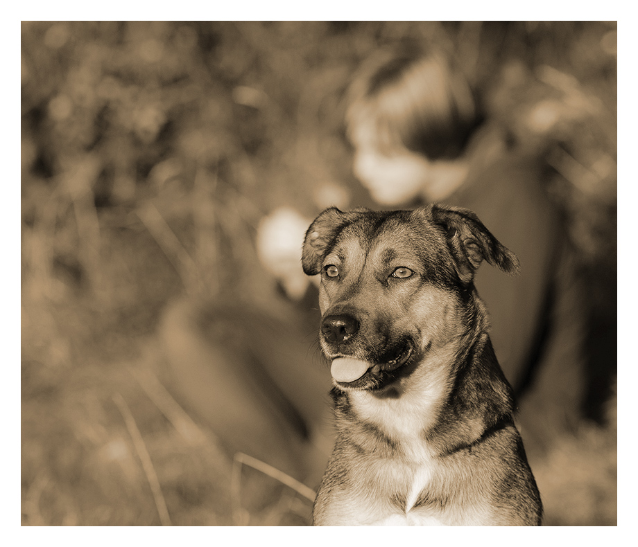 Sohn und Hund sephia