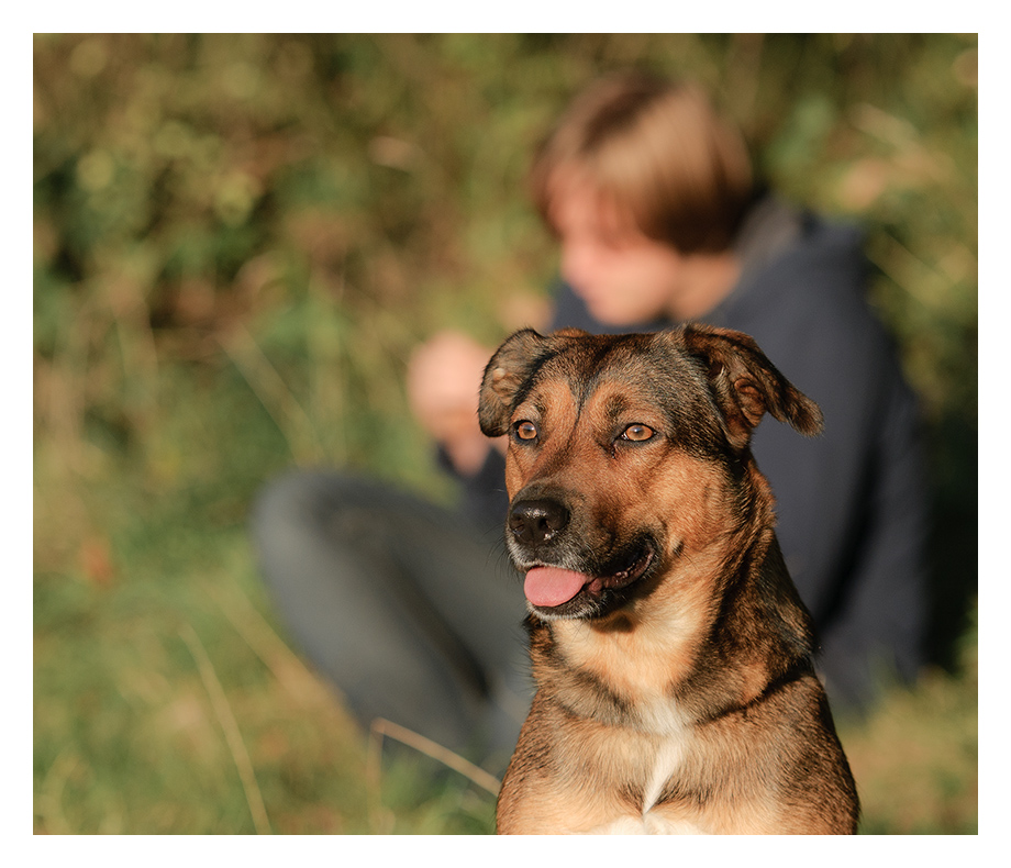 Sohn und Hund