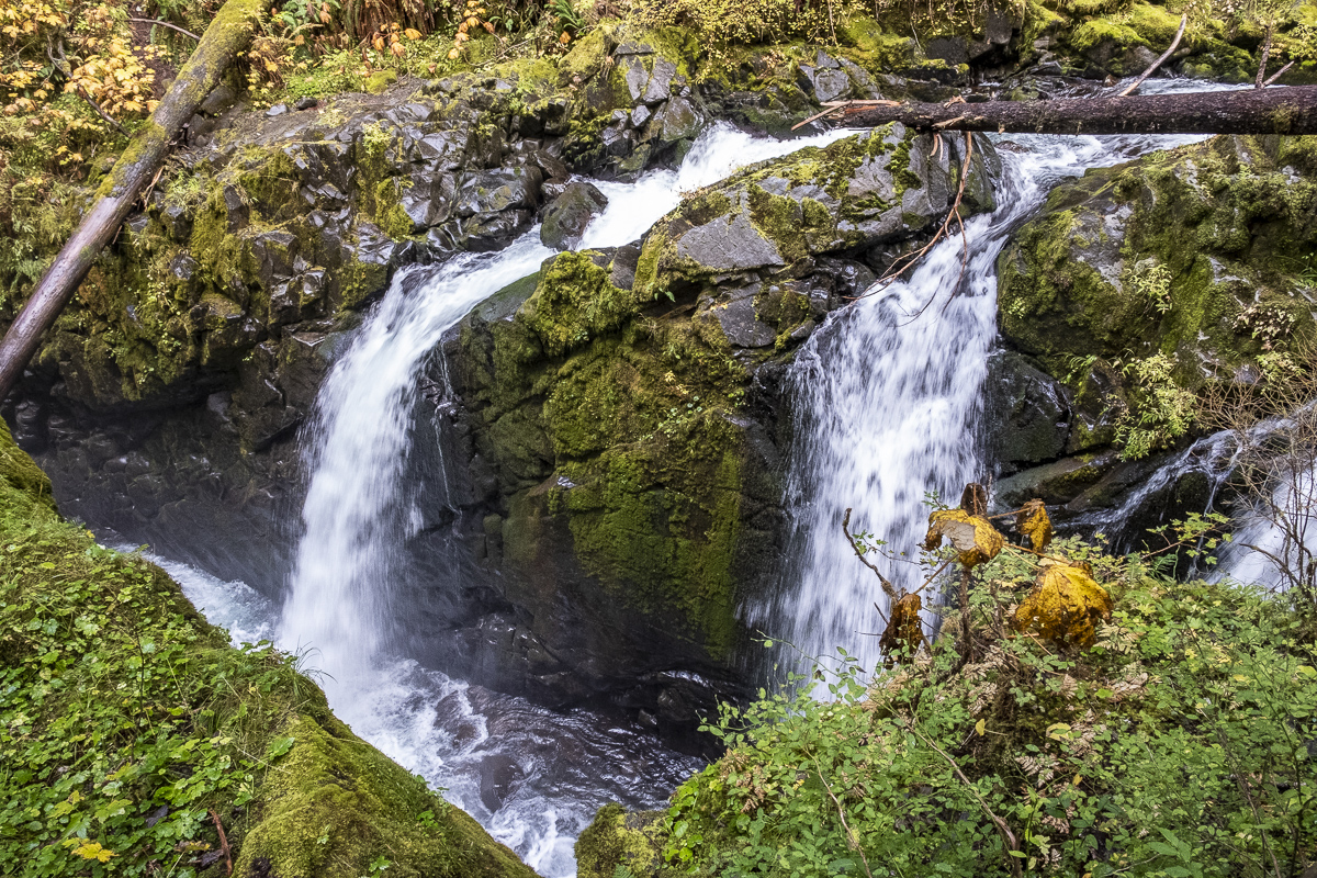 Sol Duc Falls.jpg