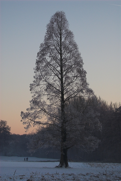 Solitär