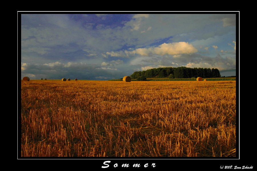 Sommer 01