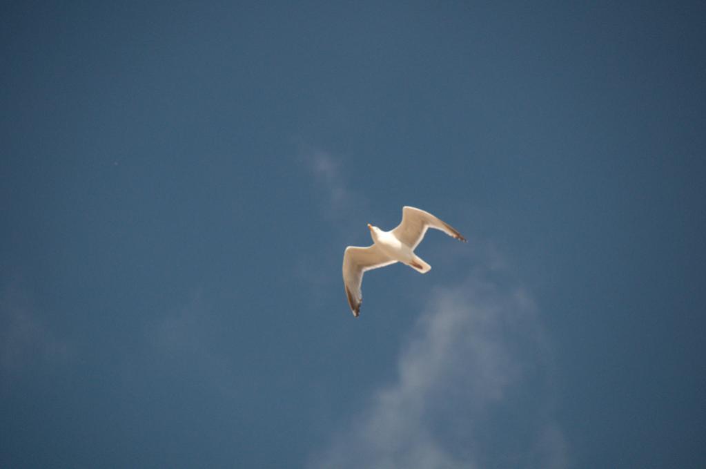 Sommer 2010 5