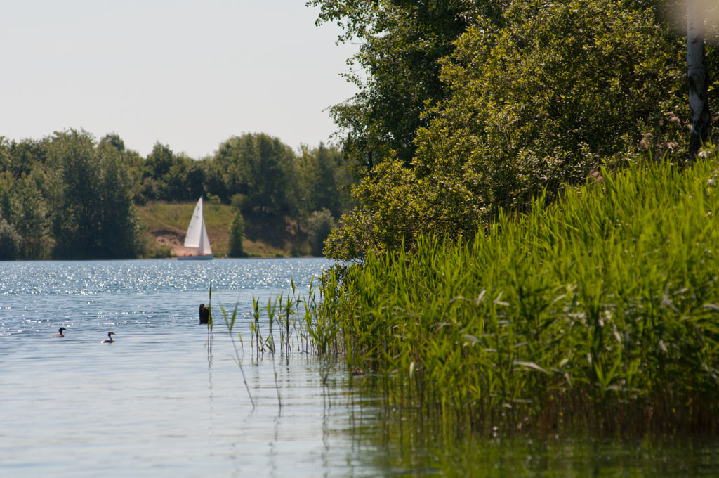 Sommer am Kulkwitzer See bei Leipzig