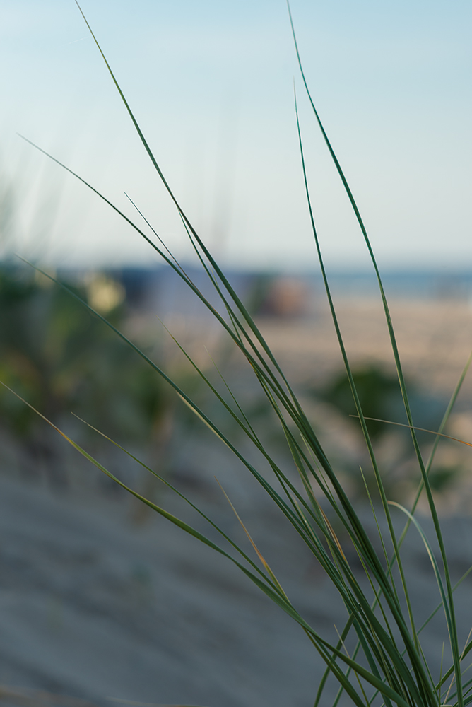 sommer13.1
