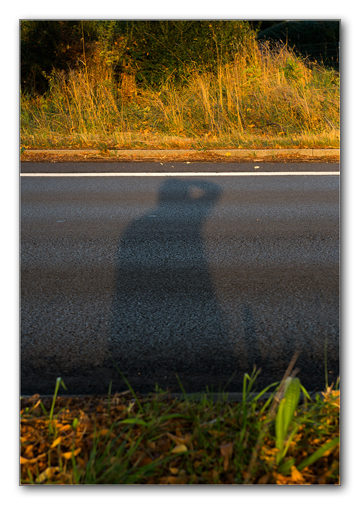 sommerabend1