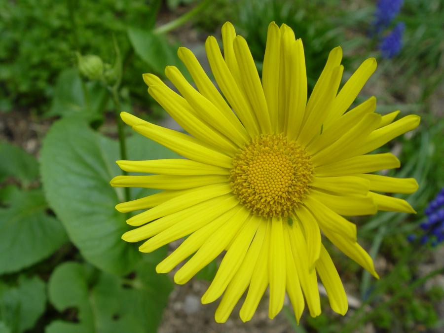 Sommerlich