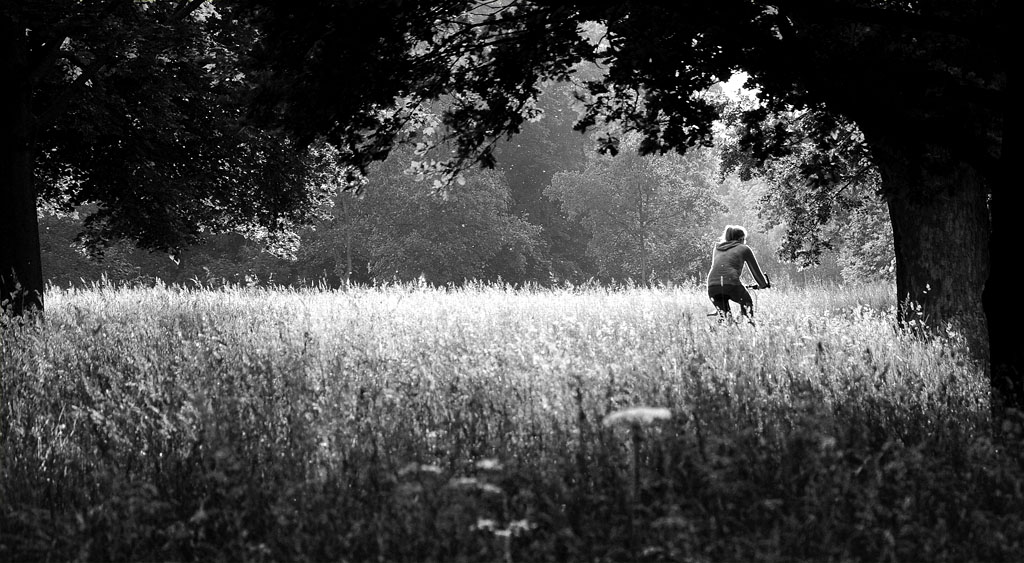 Sommerliche Radtour