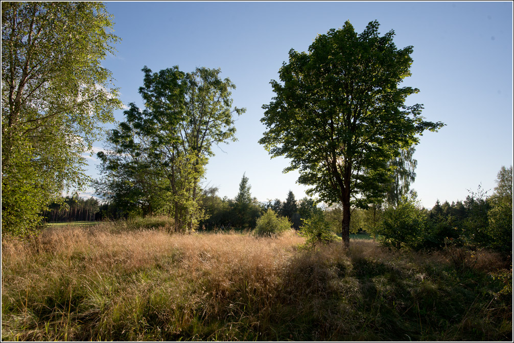 sonne zuhause2