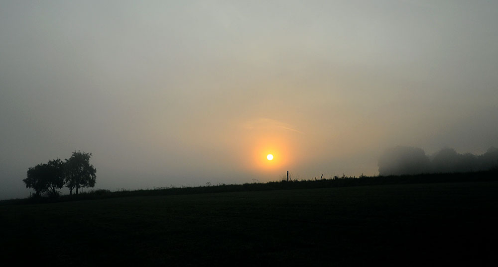 sonne1