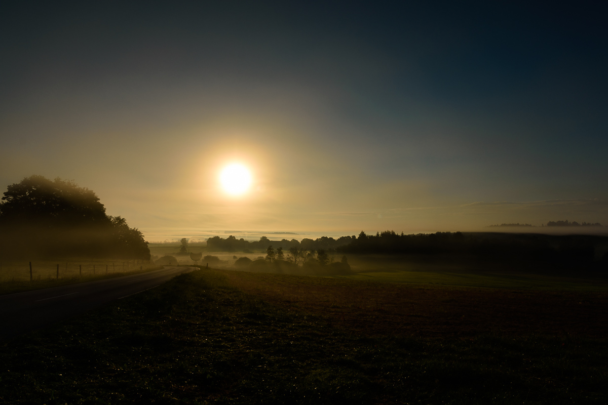 Sonnenaufgang über morgendlichem Nebel