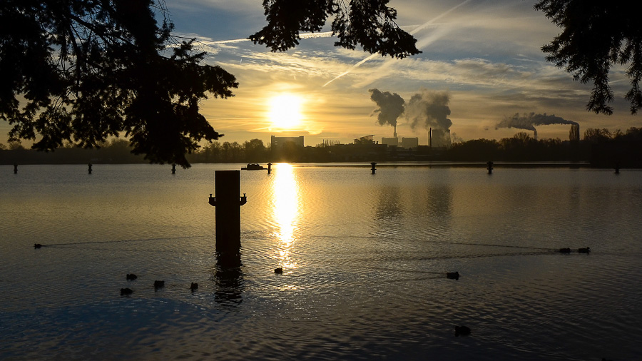 Sonnenaufgang am Spandauer See