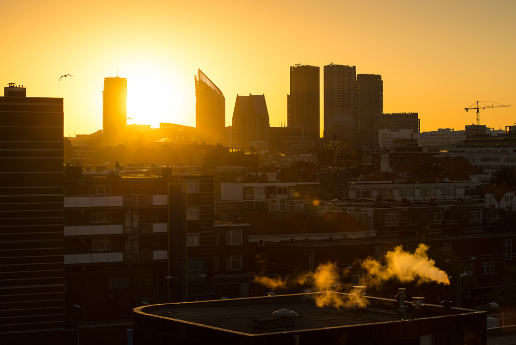 Sonnenaufgang Den Haag 3811