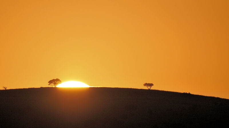 Sonnenaufgang hinter den Bergen
2178