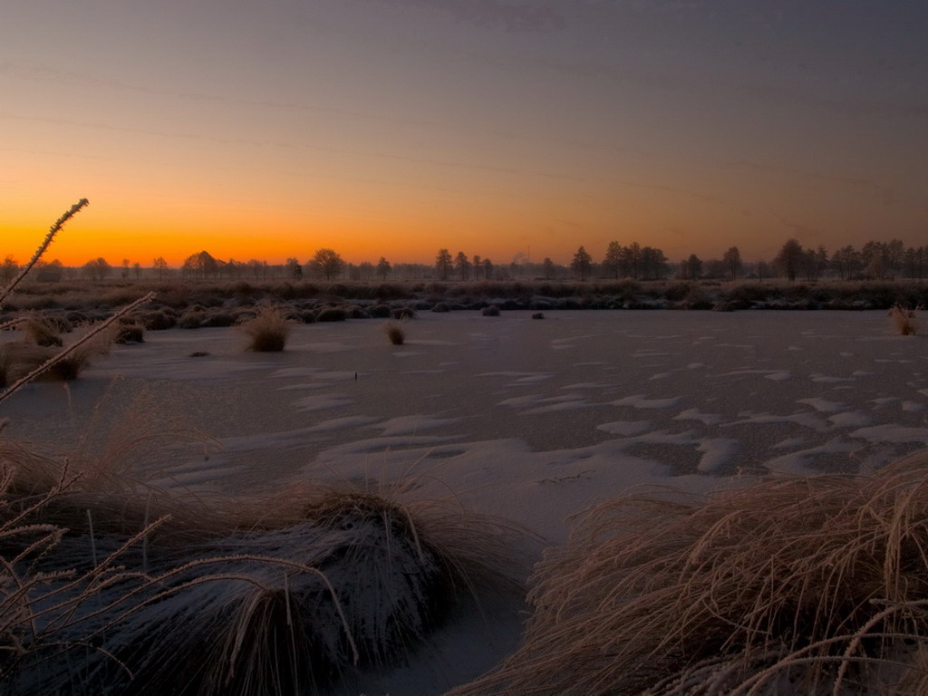 Sonnenaufgang im Moor 003