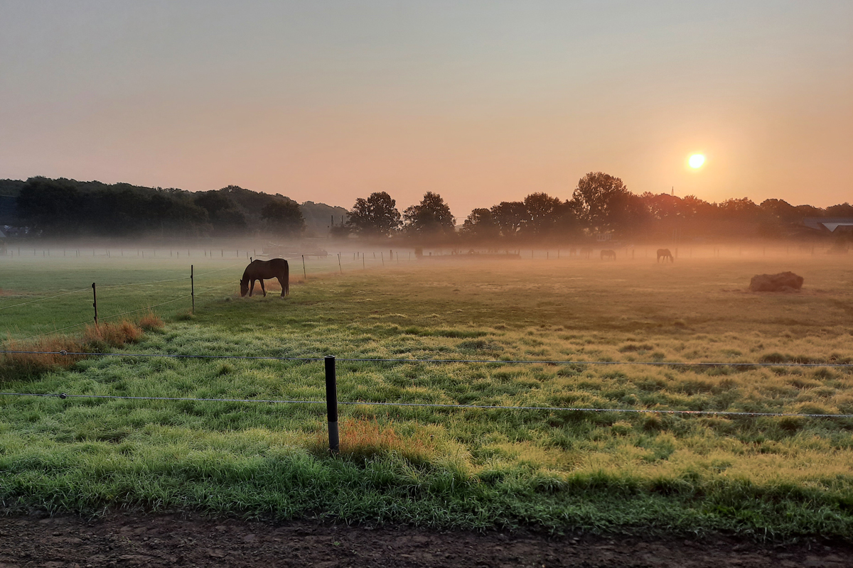 Sonnenaufgang.jpg