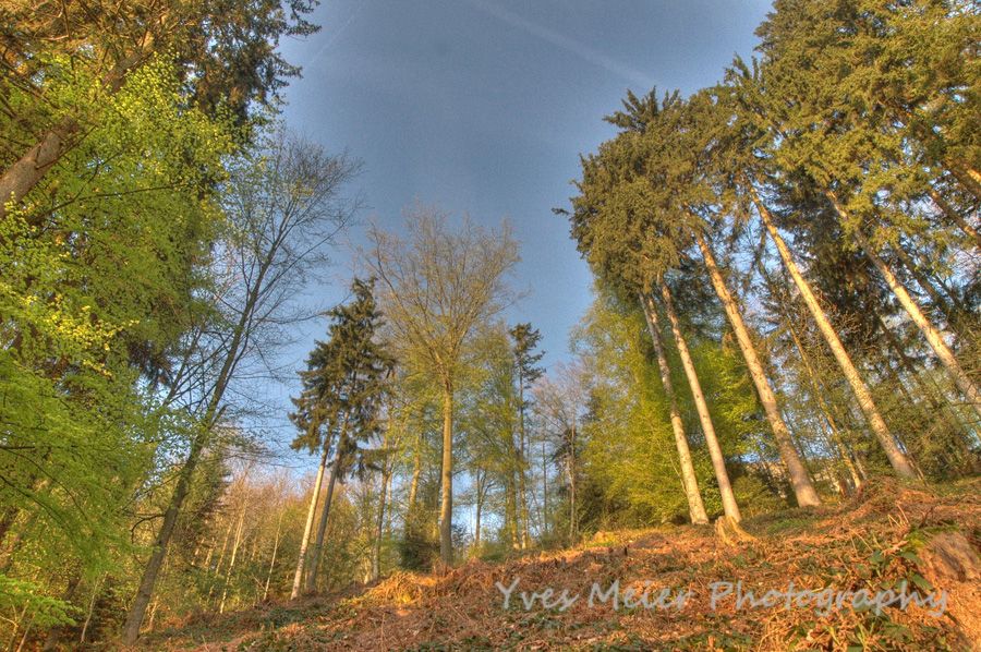 Sonnenaufgang Menzingen 157 8 9
