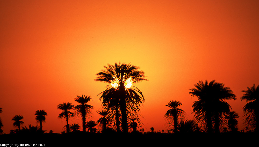 Sonnenaufgang