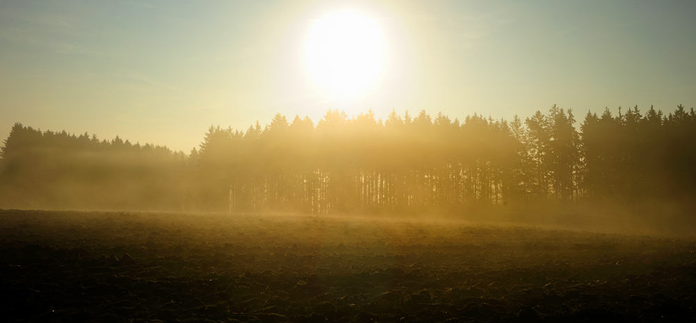 Sonnenaufgang03