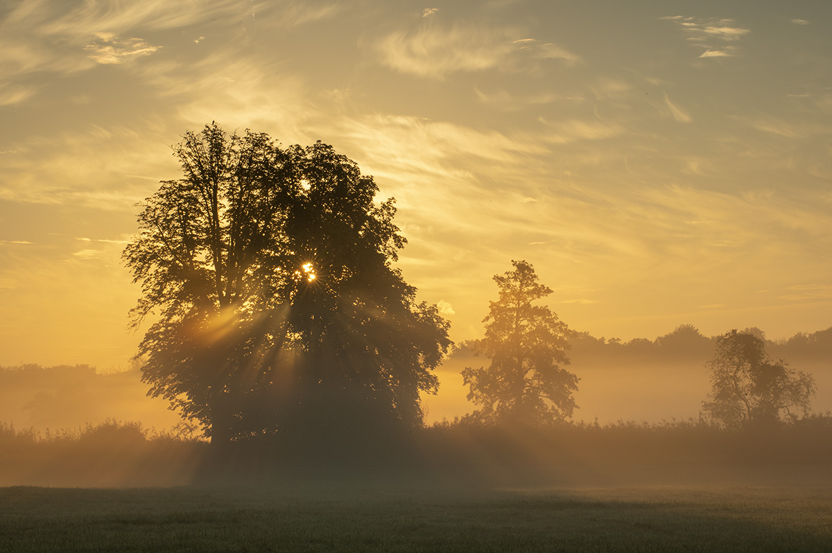 sonnenaufgang_01.jpg