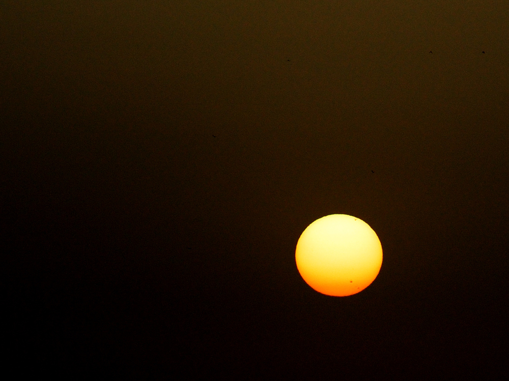 sonnenflecken