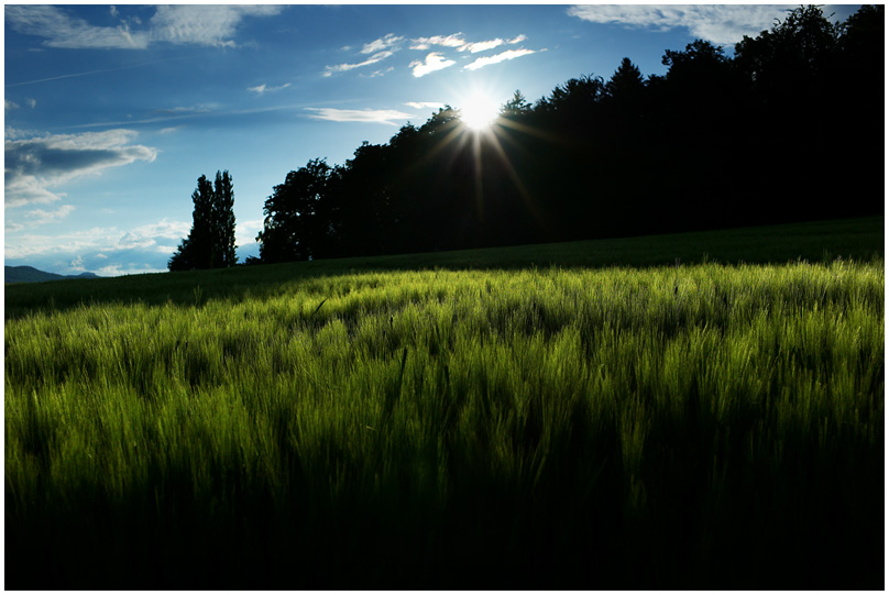 sOnnENscHeiN 1