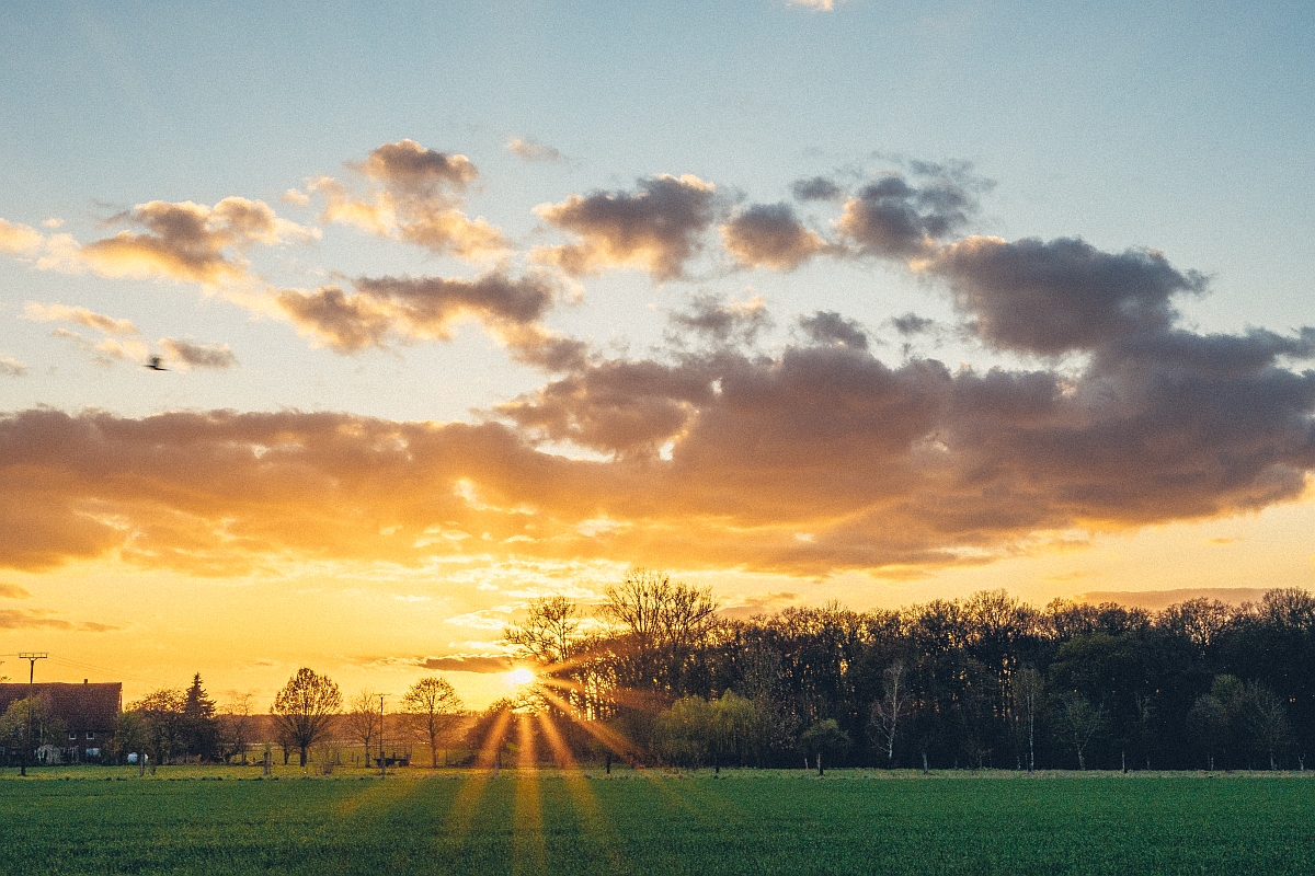 Sonnenstern
