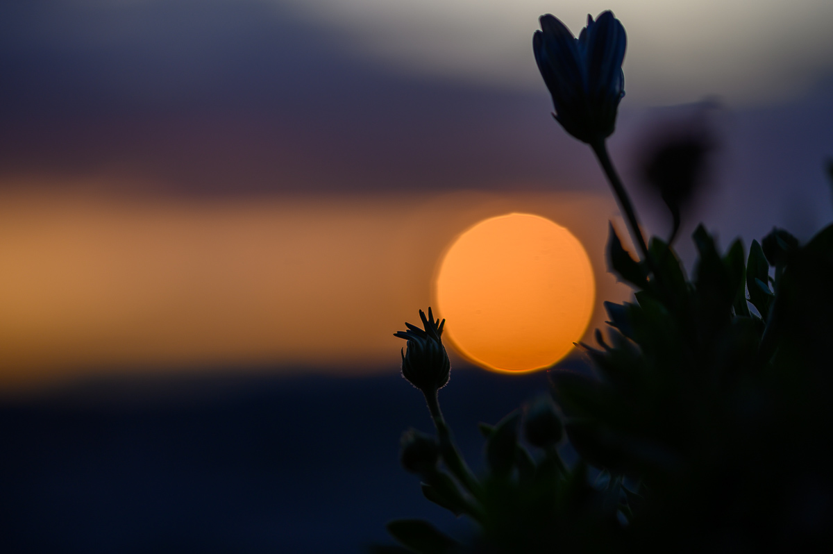 Sonnenuntergang über dem Rheingau