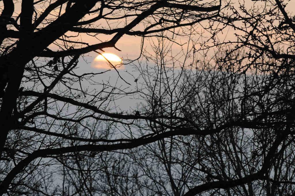 Sonnenuntergang 2
D300 + 300/4 ED