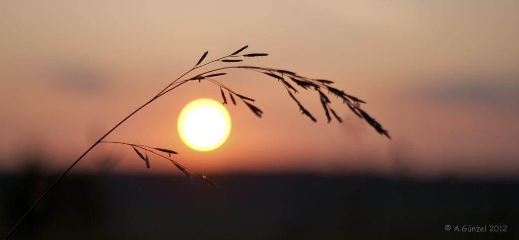 Sonnenuntergang 2