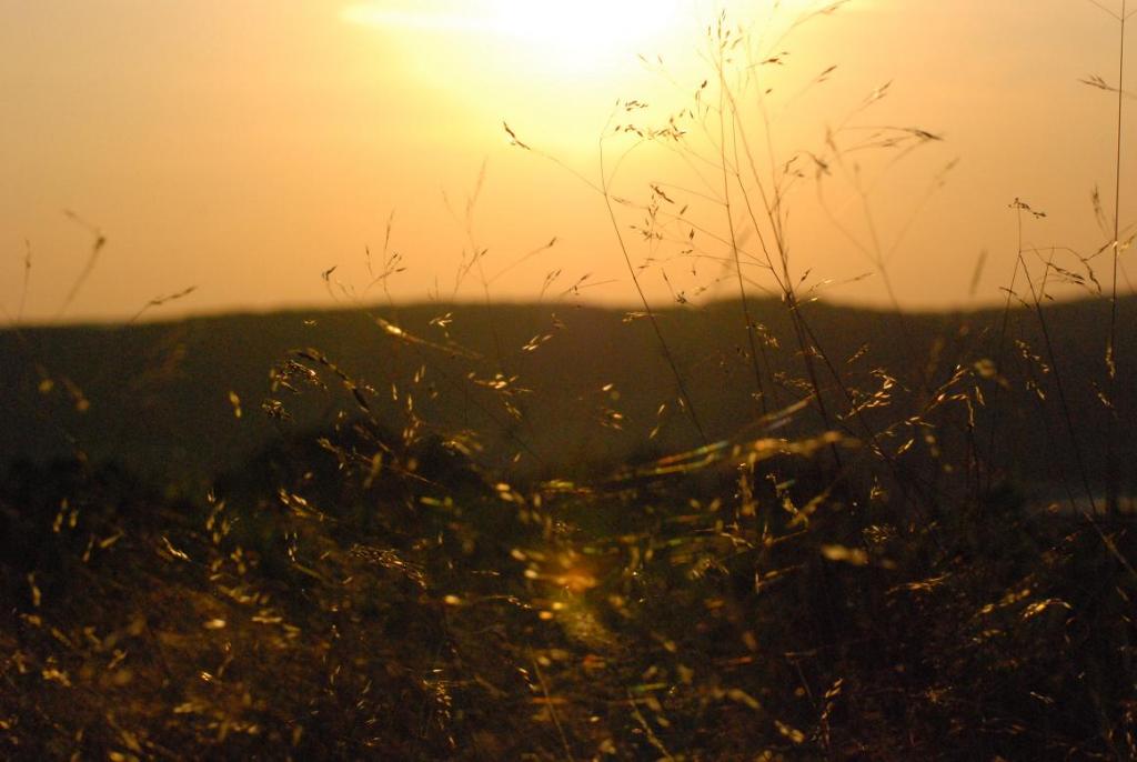 Sonnenuntergang 2