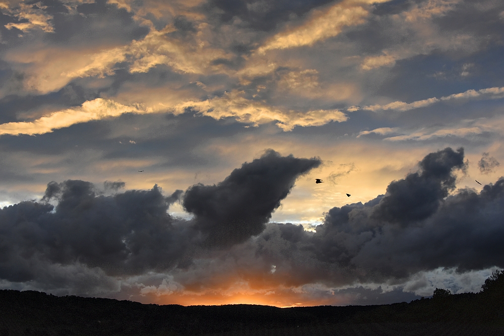 Sonnenuntergang bei Ostelsheim