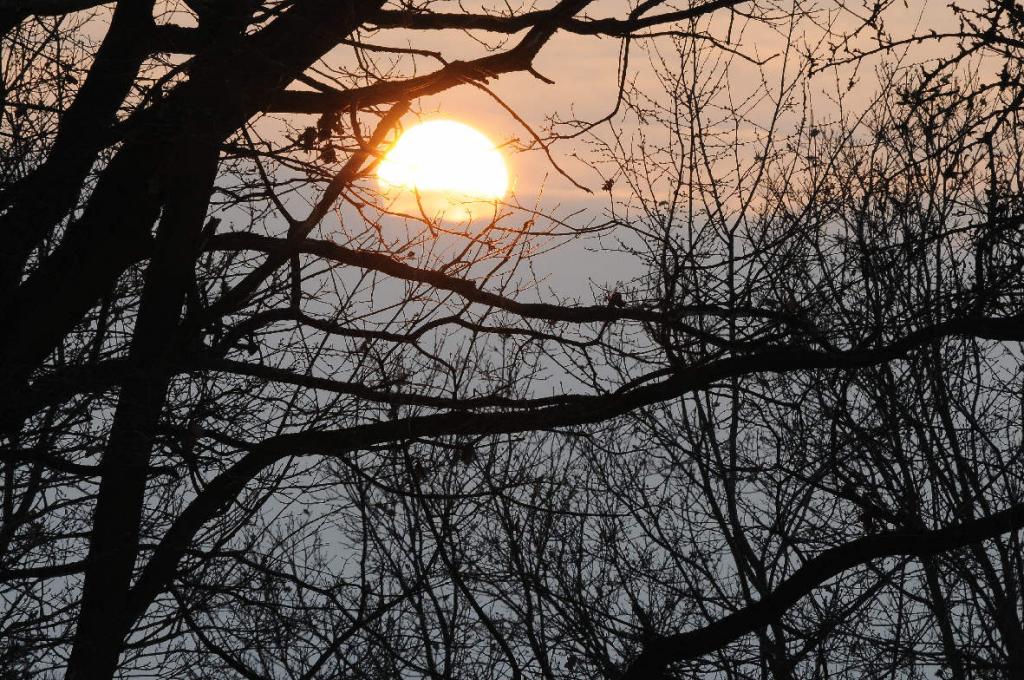 Sonnenuntergang
D300 + 300/4 ED