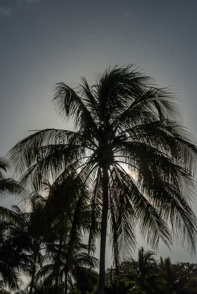 Sonnenuntergang Hamilton Island.jpg