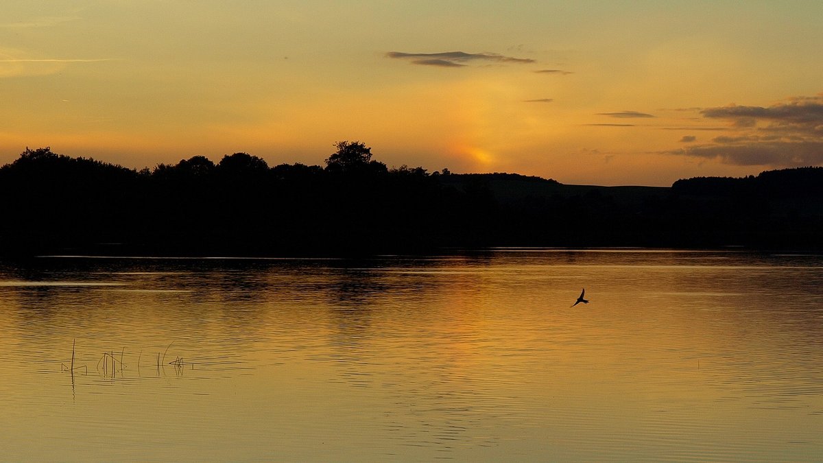 Sonnenuntergang mit Begleitung