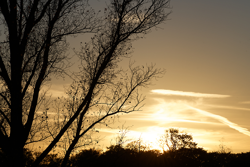 Sonnenuntergang Mitte Niedersachsen 26.jpg