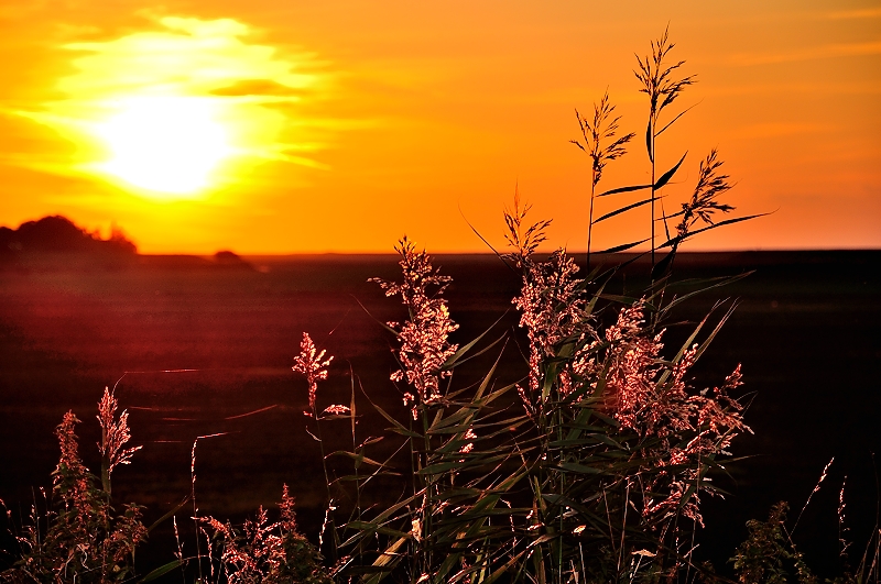 Sonnenuntergang Nessmersiel