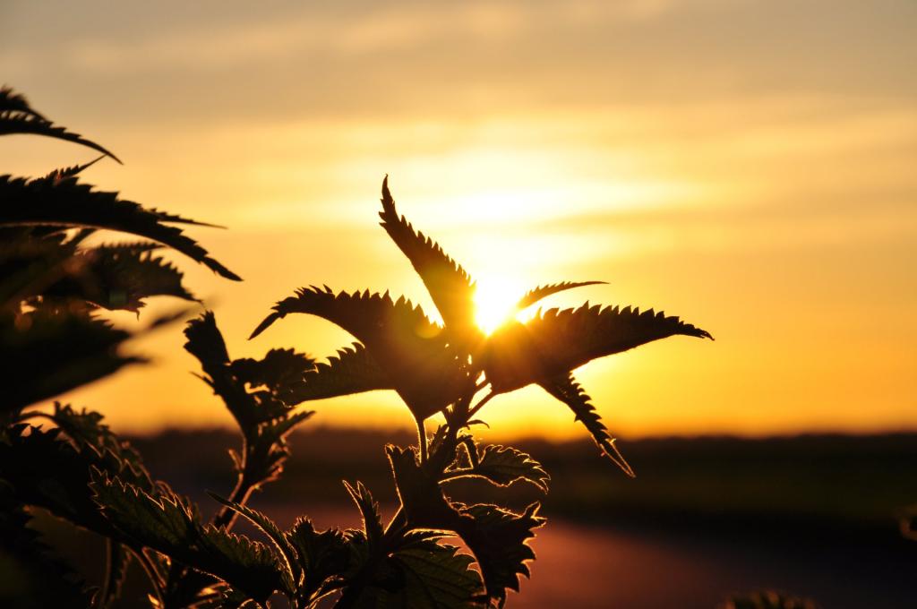 Sonnenuntergang