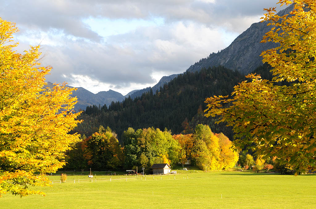 Sonniger Herbst