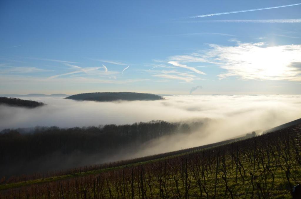 Sonniger Wintertag