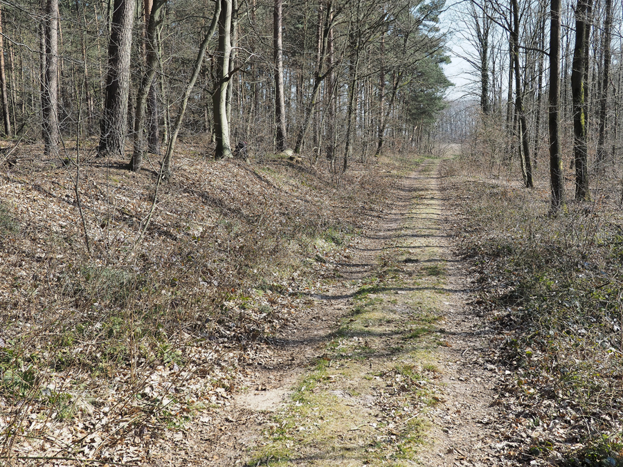Sonntagsrunde 1.jpg