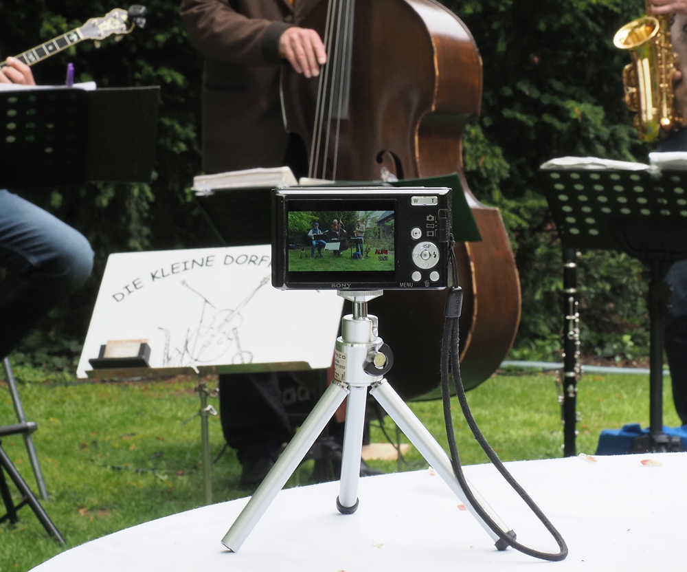 Sony Swing.jpg