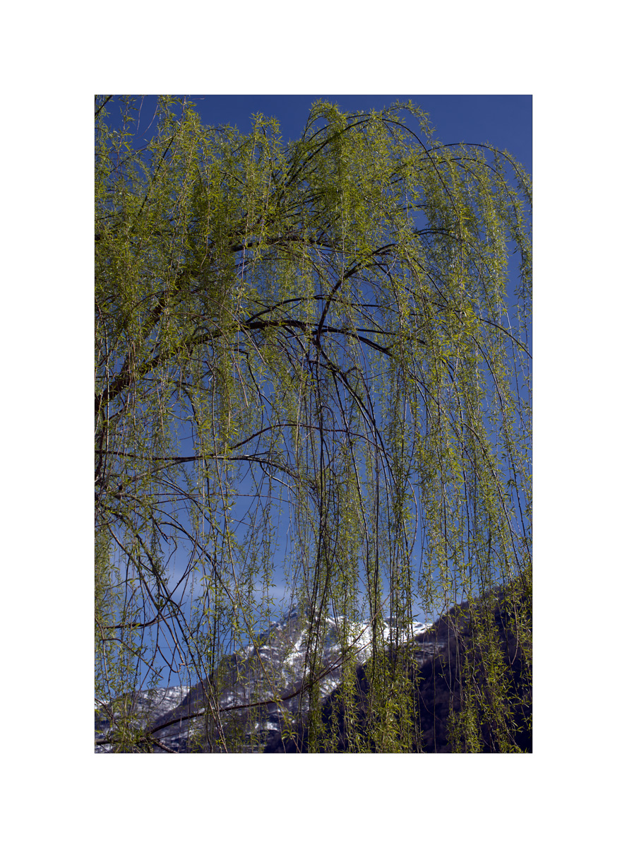 SoPZ1_0164.jpg