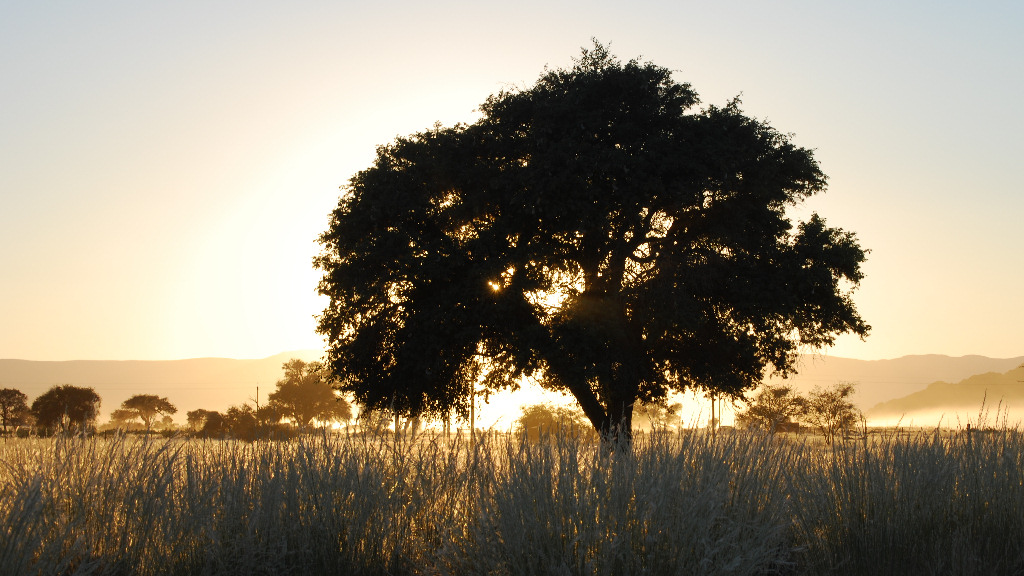 Sossusvlei 2