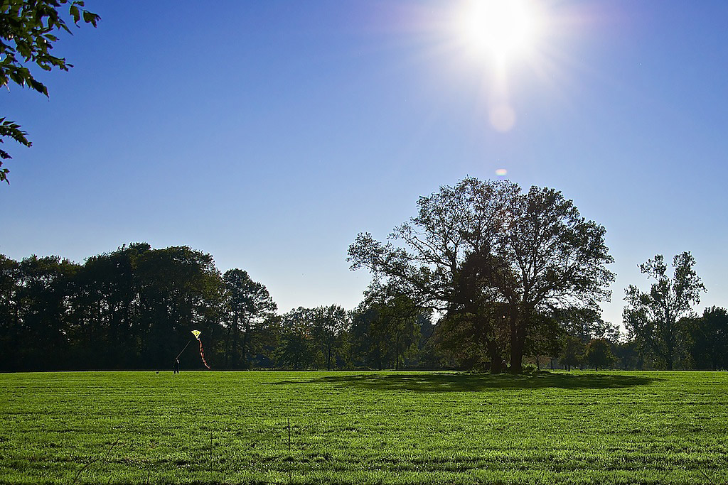 Spätsommer 3